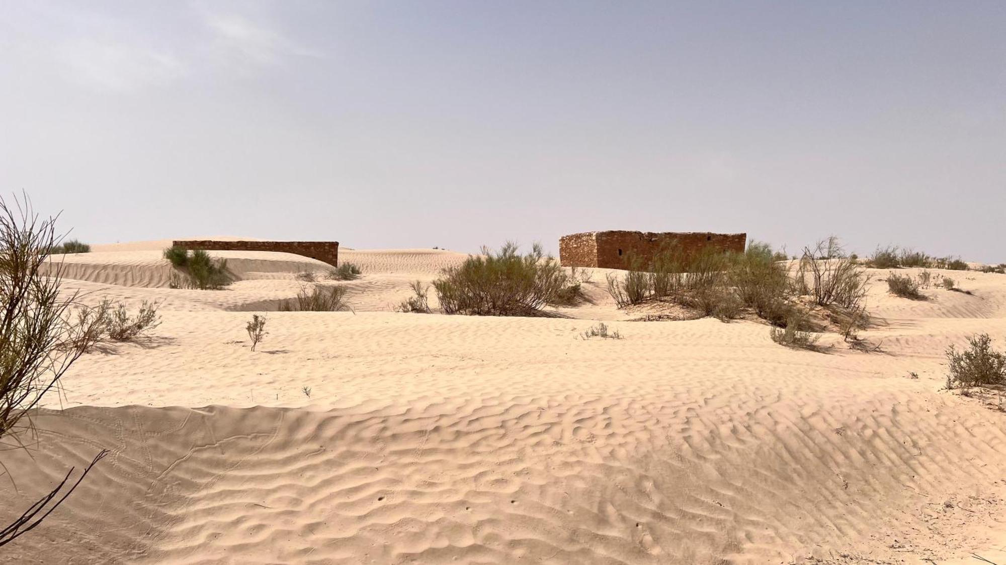 Luxury Camp Dunes Insolites Sabria 외부 사진